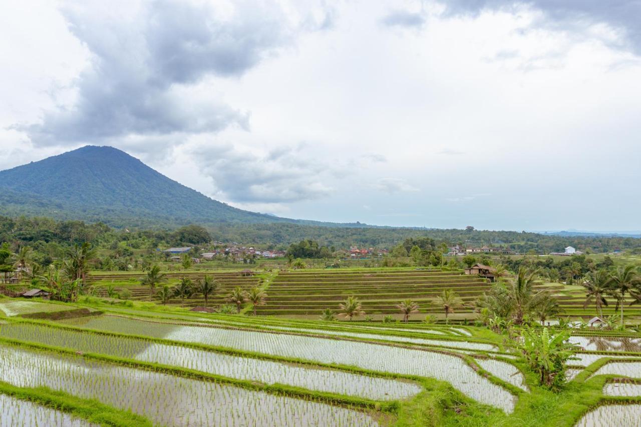 Bhuana Agung And Restaurant Bed & Breakfast *