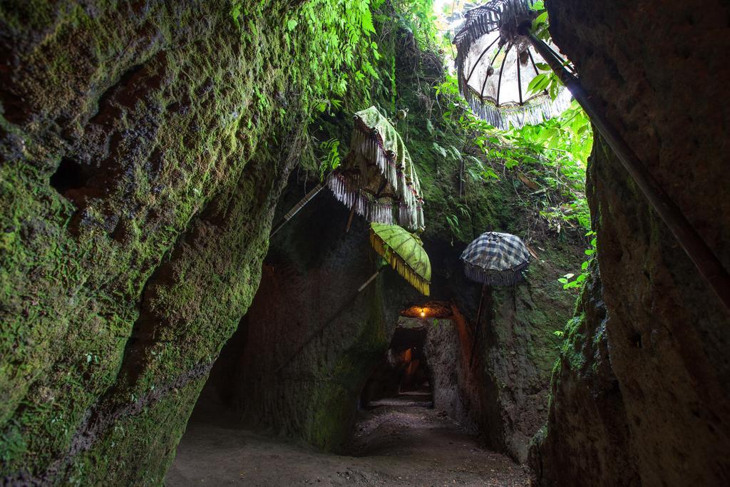Bali Eco Adventure And Retreat Center 3* Tegallalang (Bali)