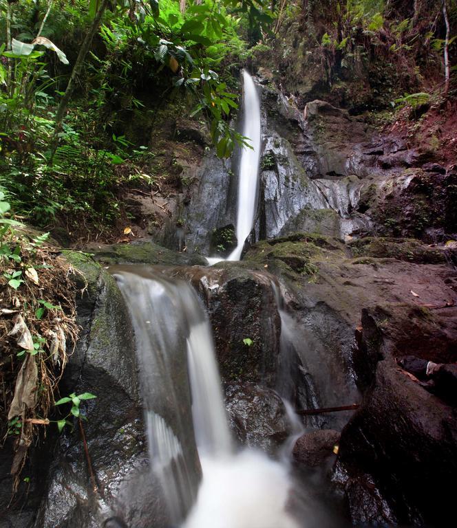 Bali Eco Adventure And Retreat Center Holiday park 3*
