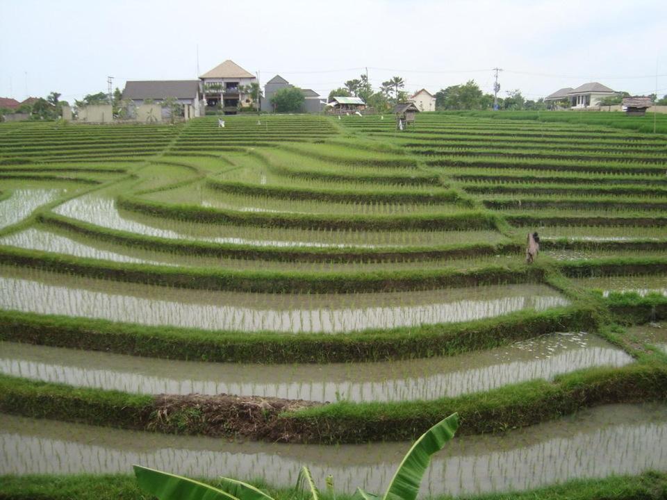Hotel Onga Bali 3*