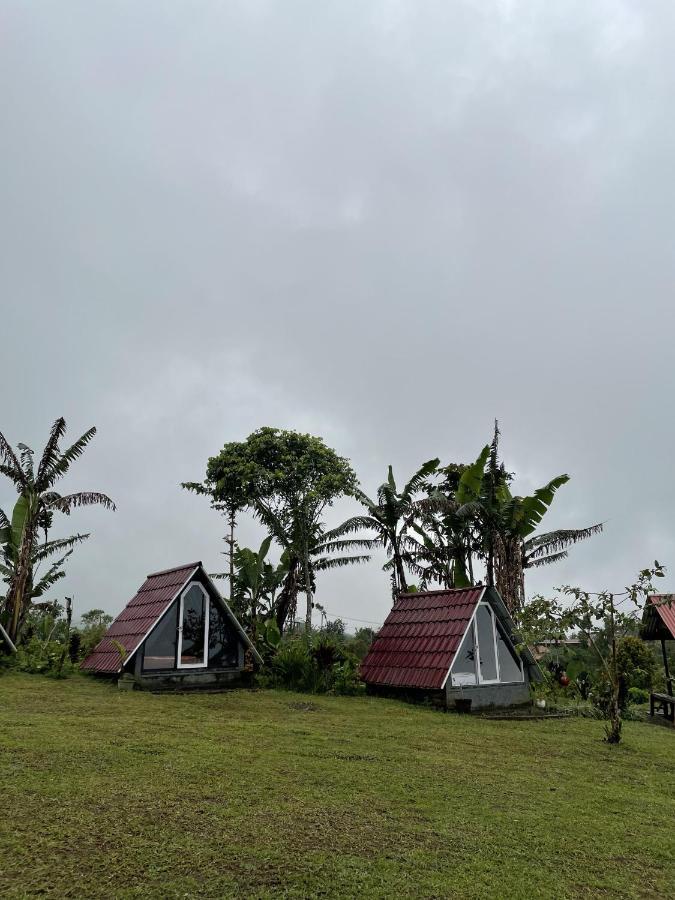 Campsite Bugo Camp Glamping & Natural Activity *