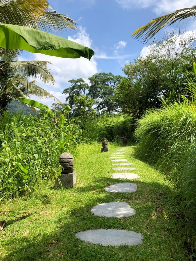 Nirarta Center For Living Awareness 2* Sidemen (Bali)