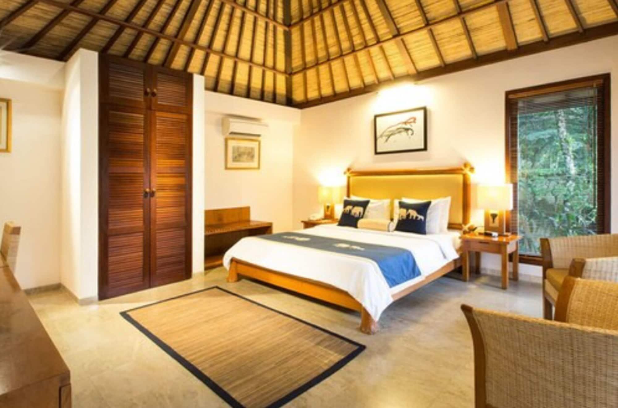 Mason Elephant 5*