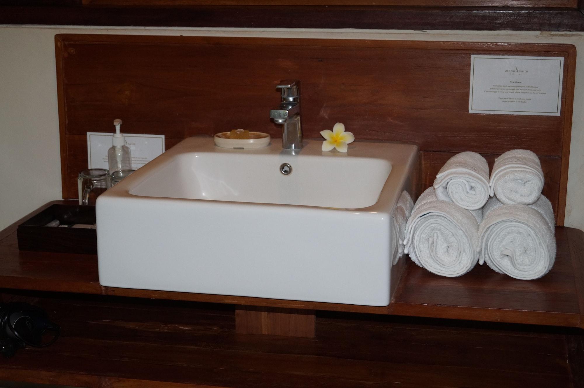 Guest house Arana 3*