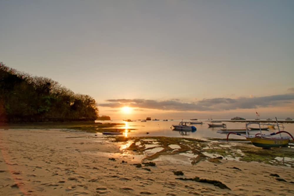 Holiday park Cliff Nusa Lembongan (Bali)