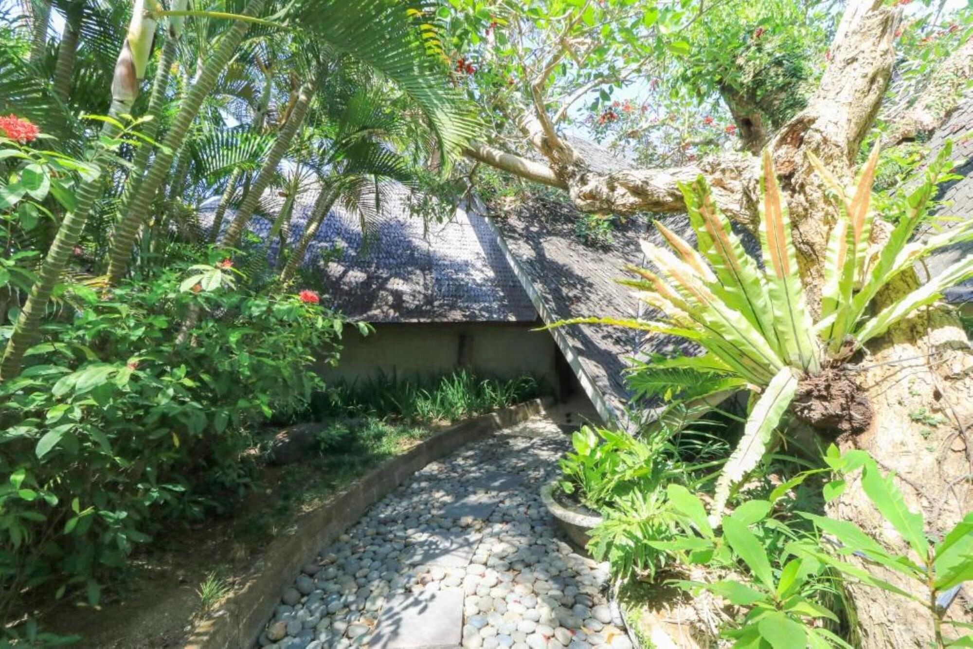 Sin Sin Canggu (Bali)