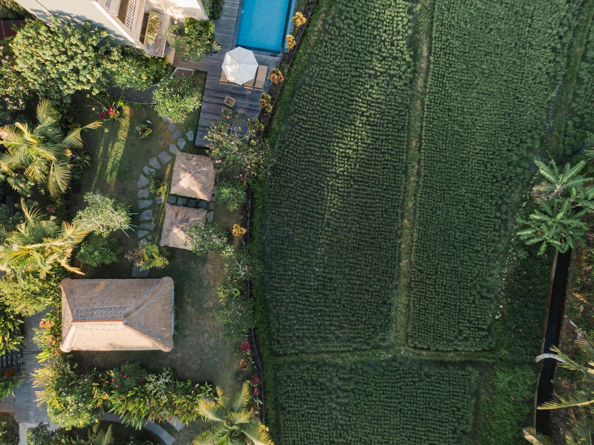 Byasa Ubud (Bali)