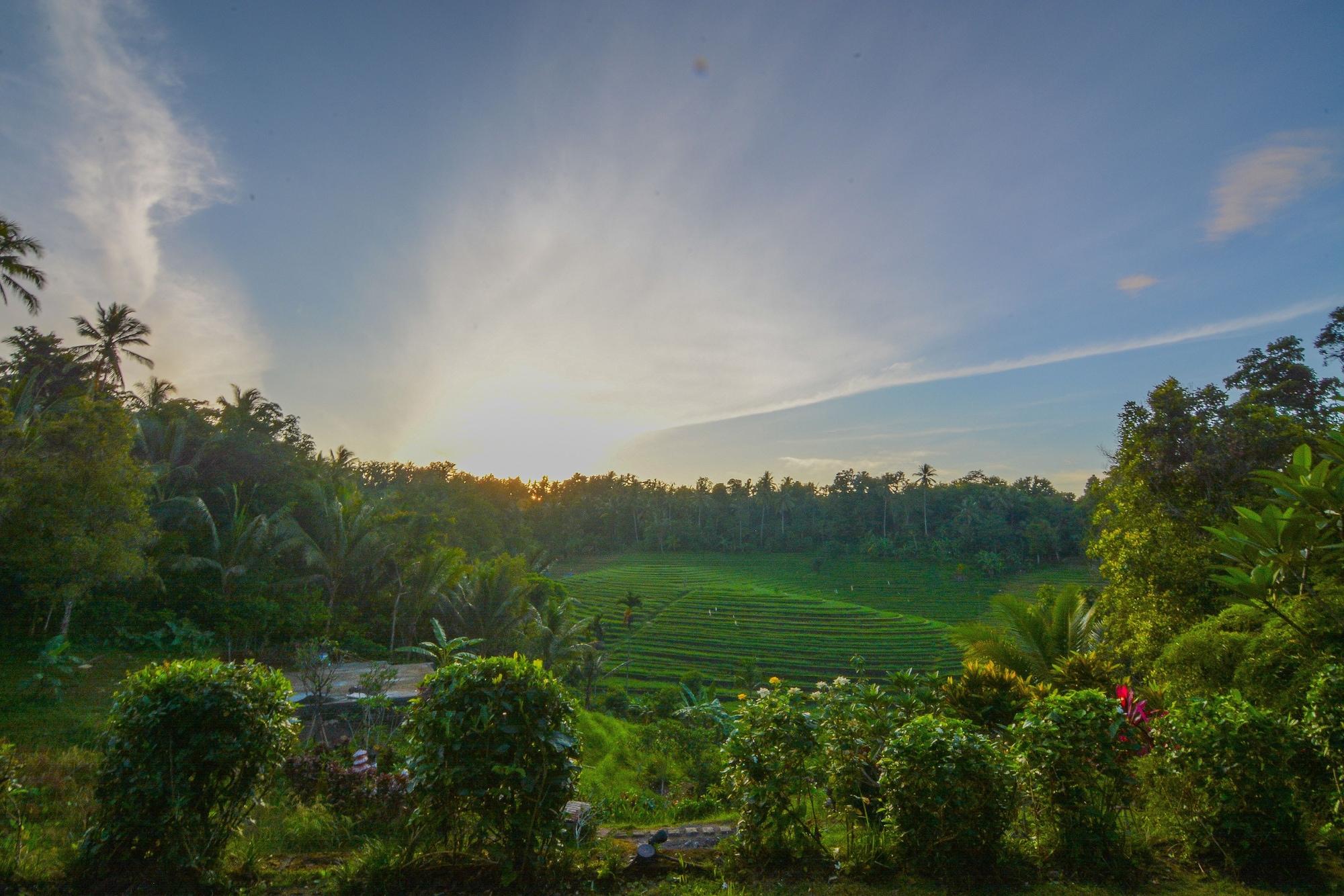 Bed & Breakfast Bali Lush 3*