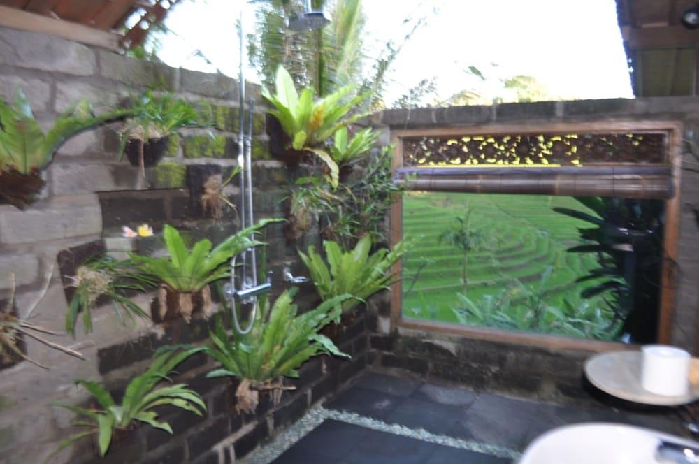 Bed & Breakfast Bali Lush