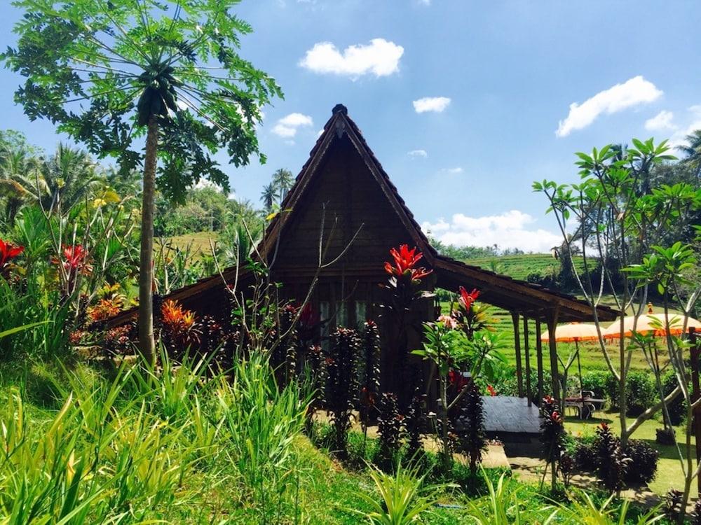 Bed & Breakfast Bali Lush 3*