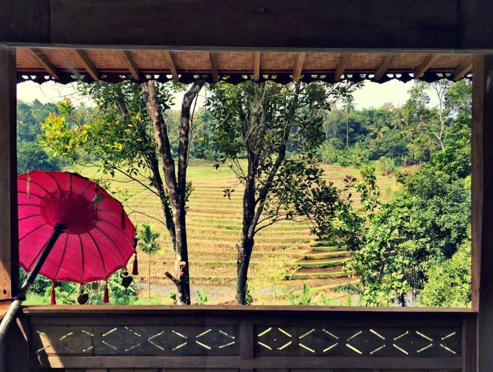 Bali Lush