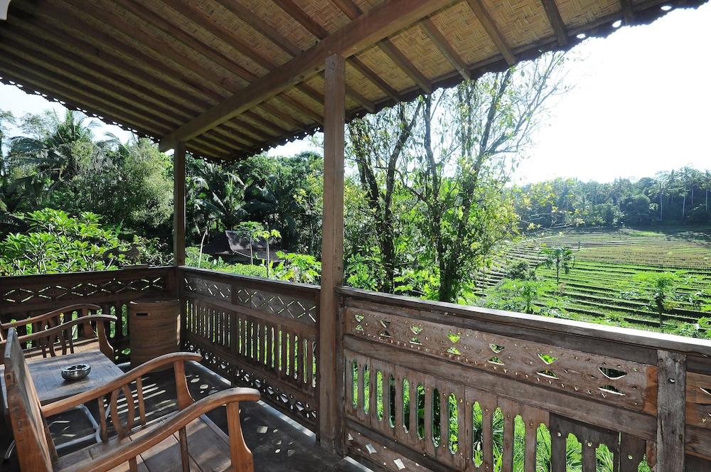 Bali Lush 3*