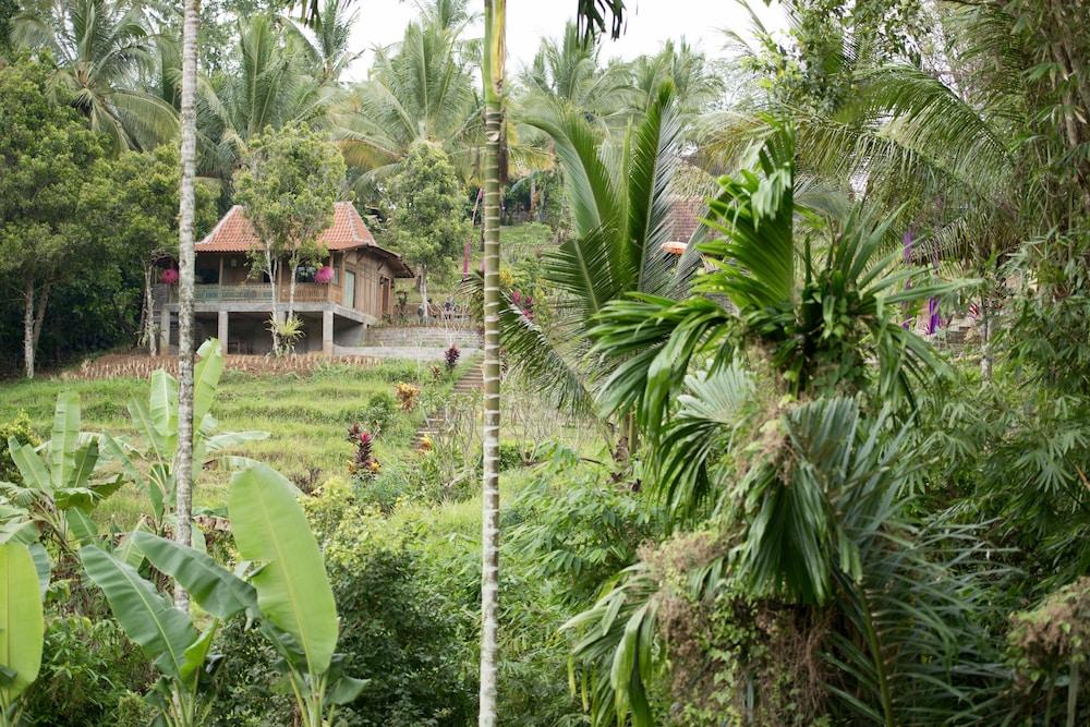 Bed & Breakfast Bali Lush 3*