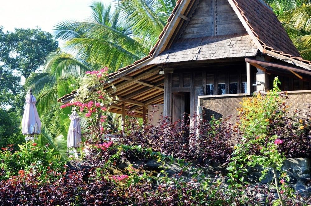 Bali Lush 3*