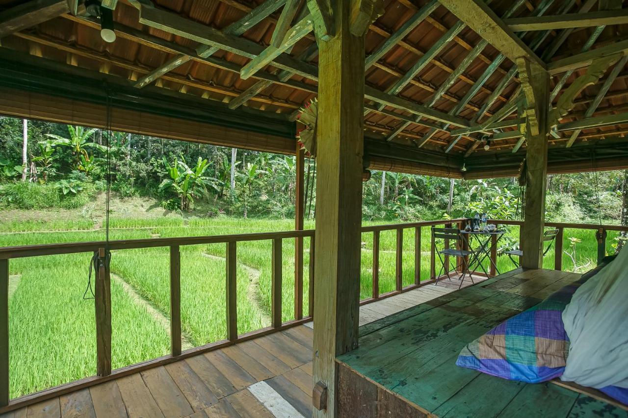 Taman liburan Tepi Sawah Lodge&retreat