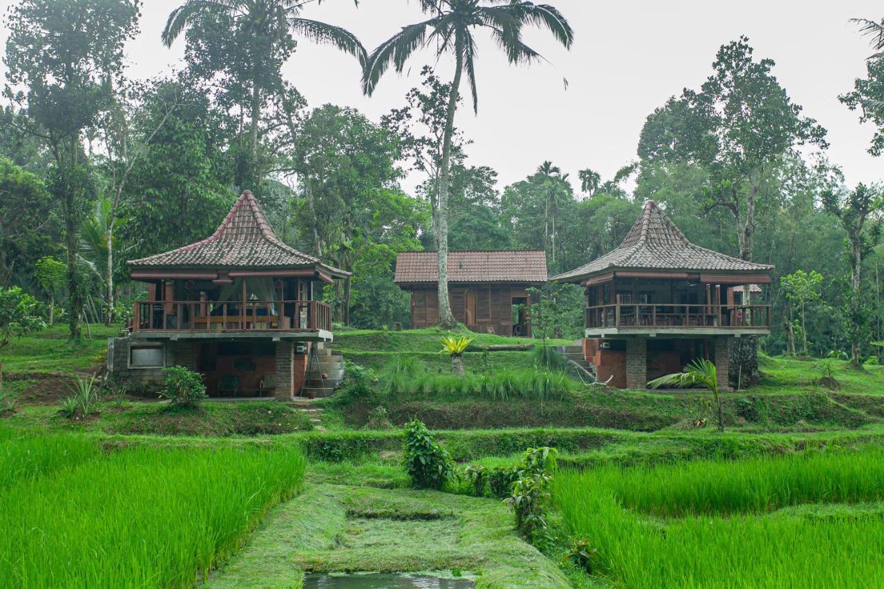 Tepi Sawah Lodge&retreat 2* Jatiluwih
