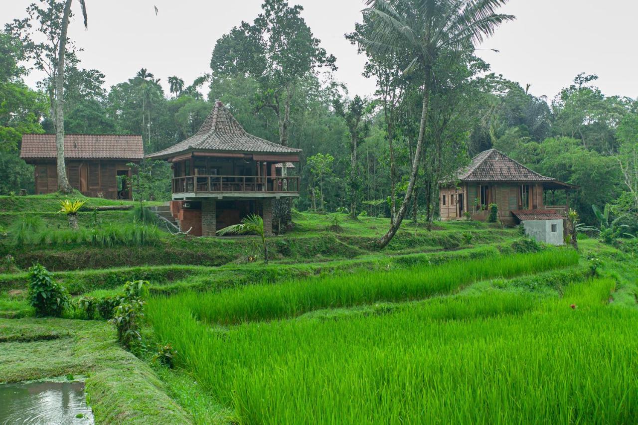 Tepi Sawah Lodge&retreat Taman liburan 2*