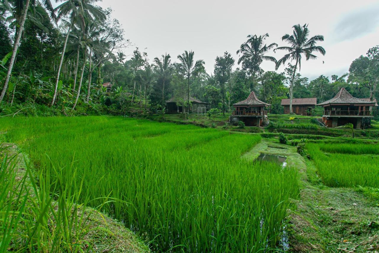 Tepi Sawah Lodge&retreat Taman liburan 2*