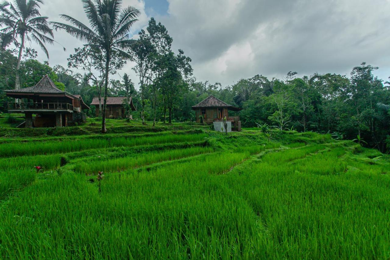 Tepi Sawah Lodge&retreat Taman liburan Jatiluwih