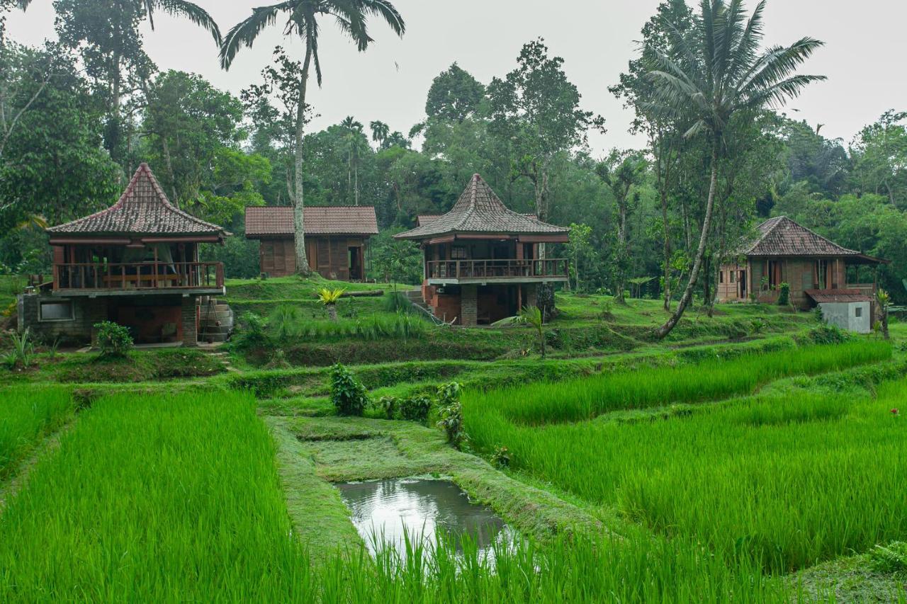 Tepi Sawah Lodge&retreat 2* Jatiluwih