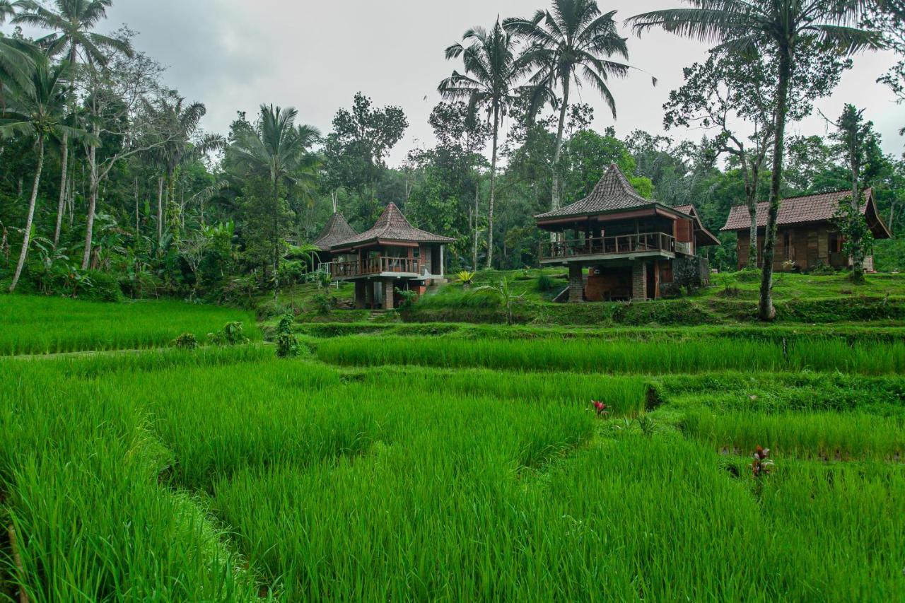 Tepi Sawah Lodge&retreat Taman liburan Jatiluwih