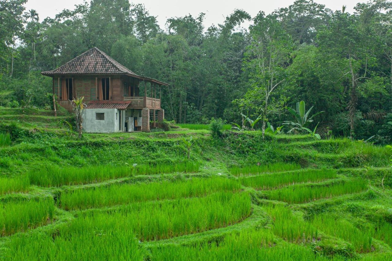 Tepi Sawah Lodge&retreat 2* Jatiluwih