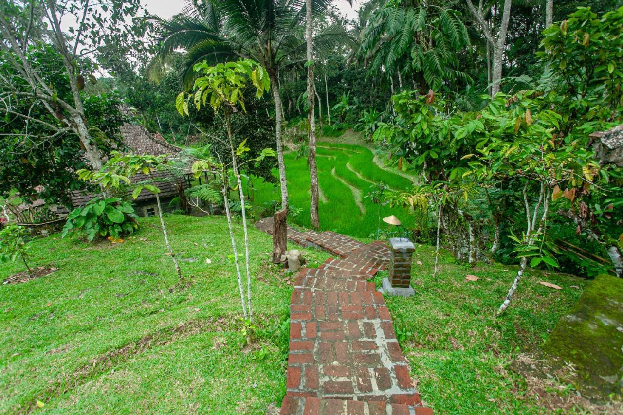Tepi Sawah Lodge&retreat 2* Jatiluwih