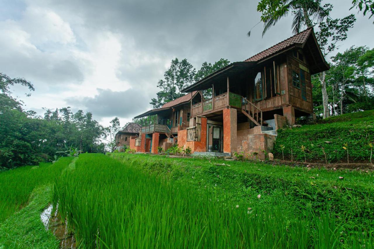 Tepi Sawah Lodge&retreat