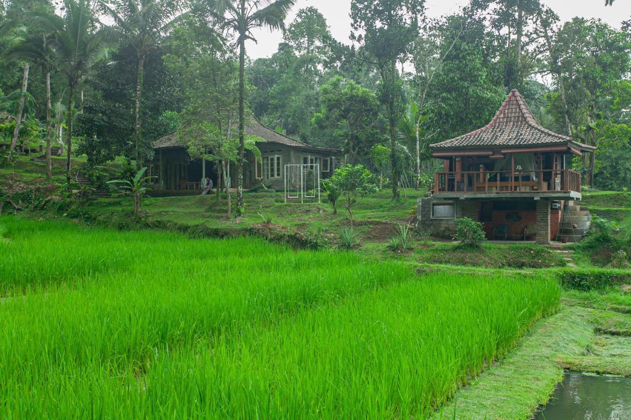 Tepi Sawah Lodge&retreat 2*
