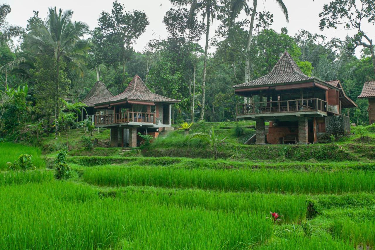 Taman liburan Tepi Sawah Lodge&retreat Jatiluwih