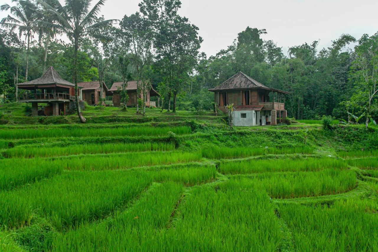 Tepi Sawah Lodge&retreat Jatiluwih