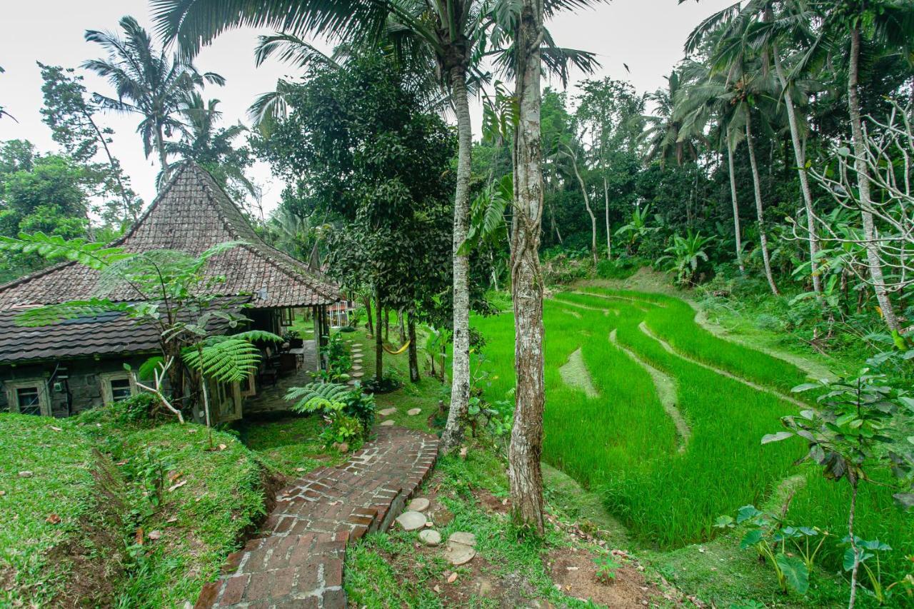 Taman liburan Tepi Sawah Lodge&retreat