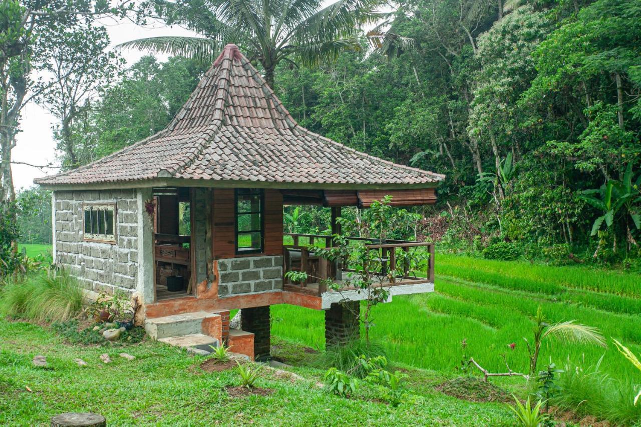 Tepi Sawah Lodge&retreat Taman liburan Jatiluwih