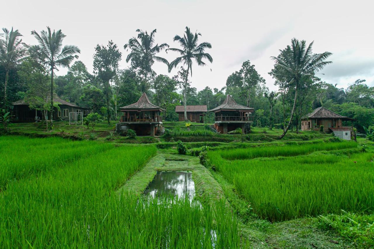 Tepi Sawah Lodge&retreat Taman liburan 2*