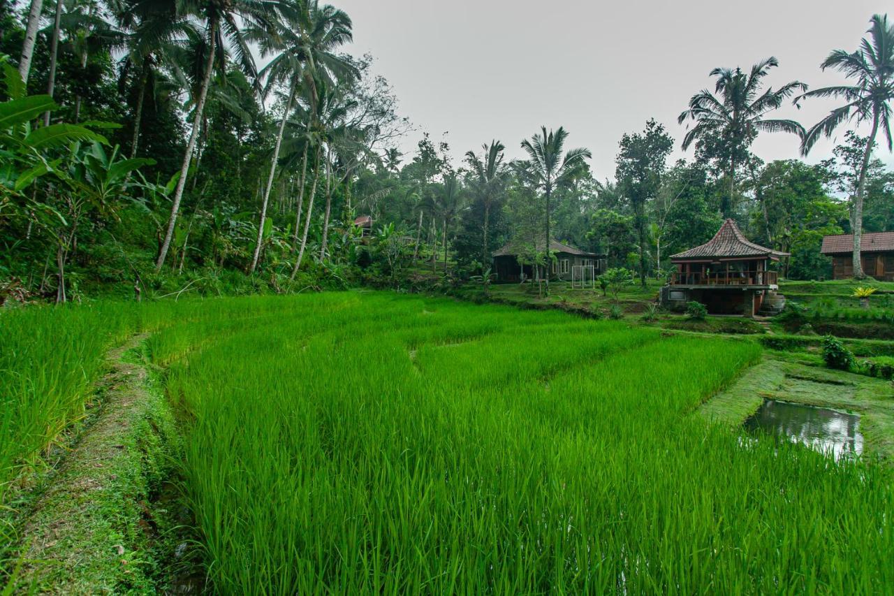 Tepi Sawah Lodge&retreat Taman liburan