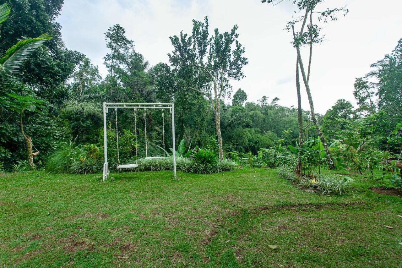 Tepi Sawah Lodge&retreat Jatiluwih