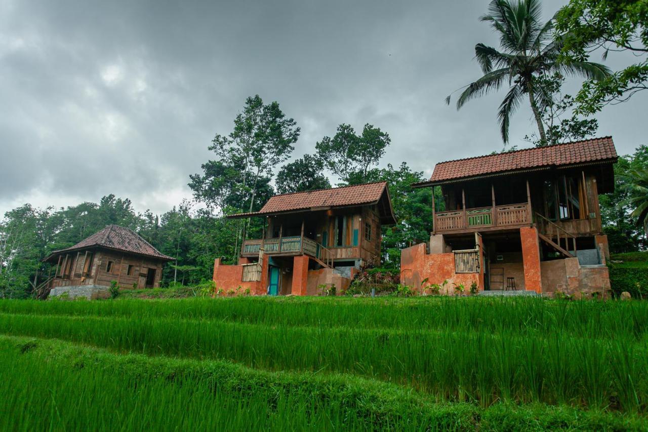 Taman liburan Tepi Sawah Lodge&retreat Jatiluwih