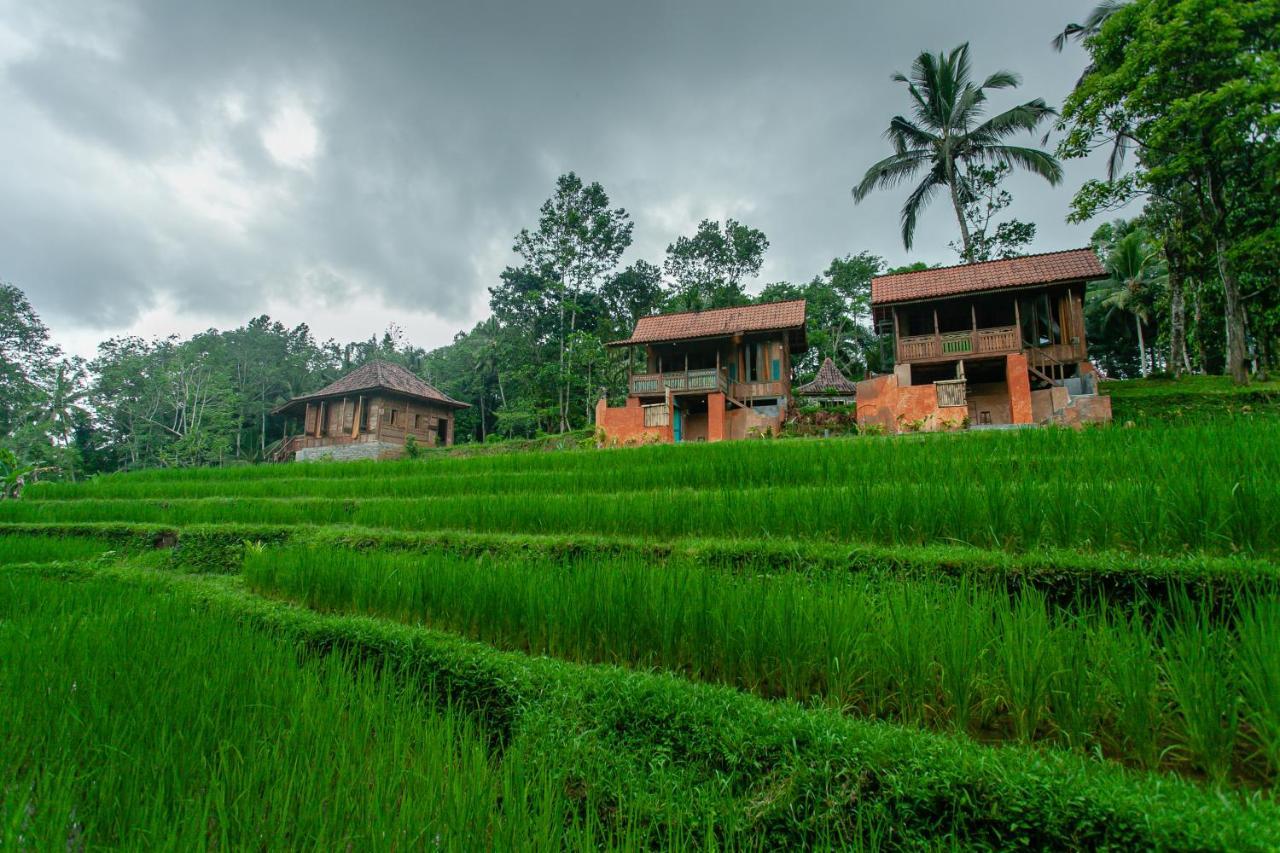 Tepi Sawah Lodge&retreat 2*