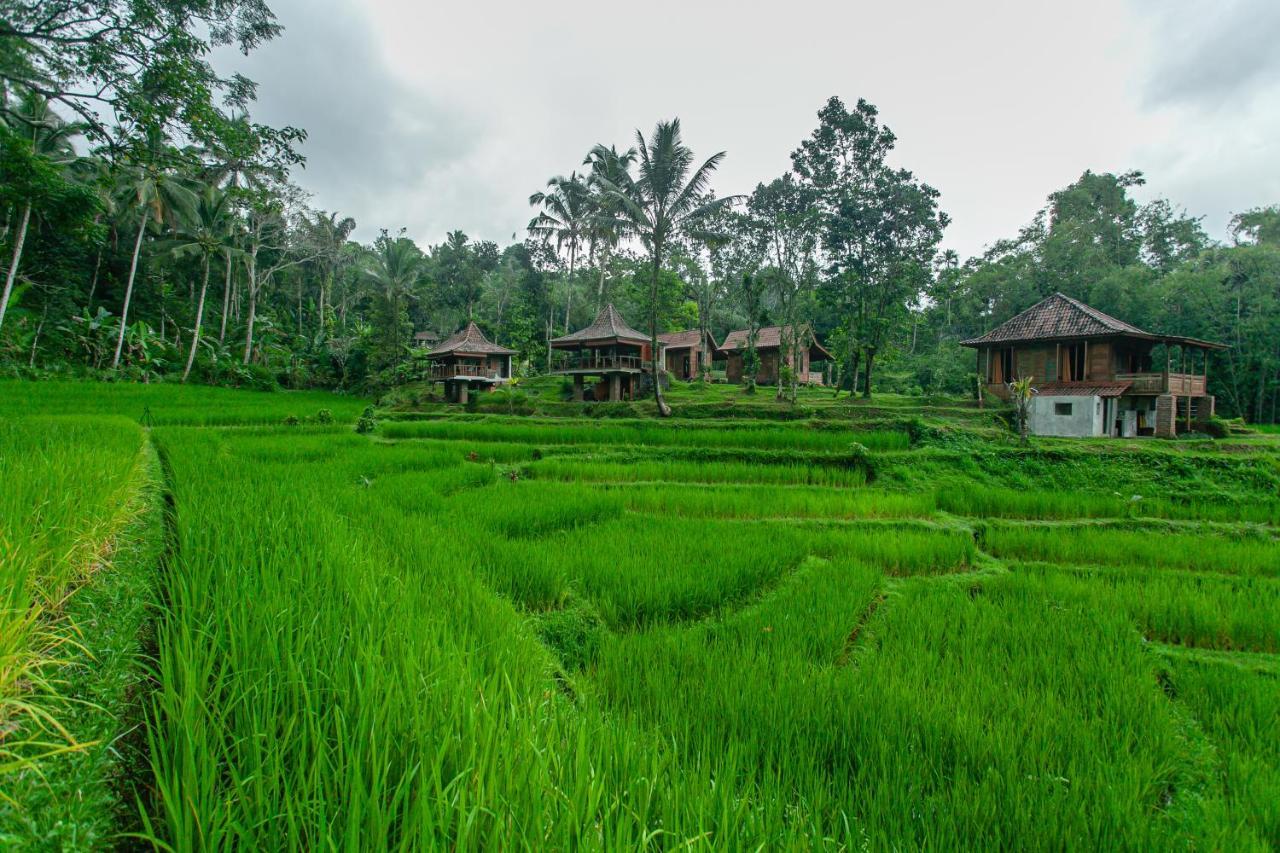 Tepi Sawah Lodge&retreat Jatiluwih
