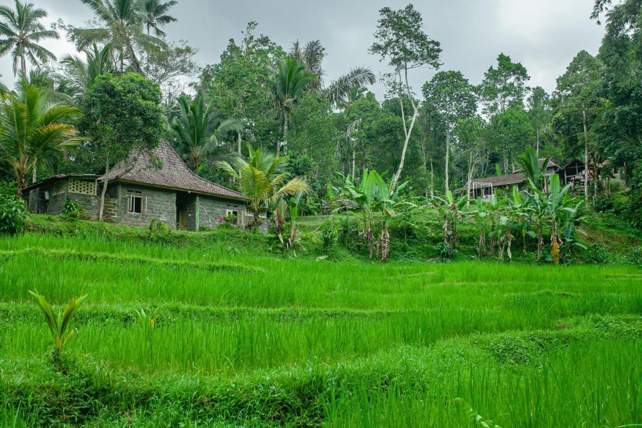 Tepi Sawah Lodge&retreat Jatiluwih