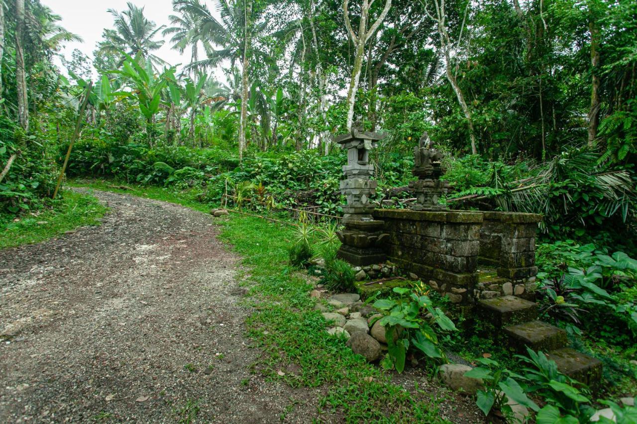 Tepi Sawah Lodge&retreat Taman liburan 2*