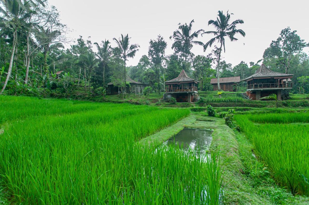 Tepi Sawah Lodge&retreat Taman liburan 2*