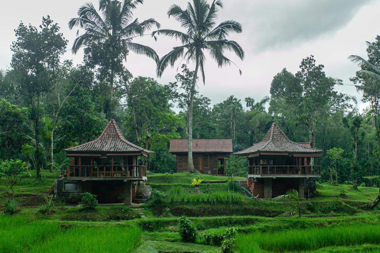 Tepi Sawah Lodge&retreat