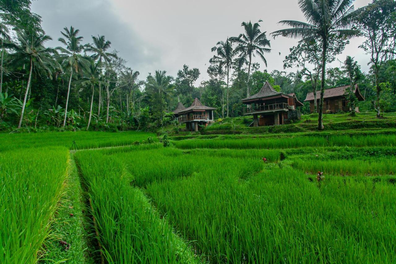 Tepi Sawah Lodge&retreat