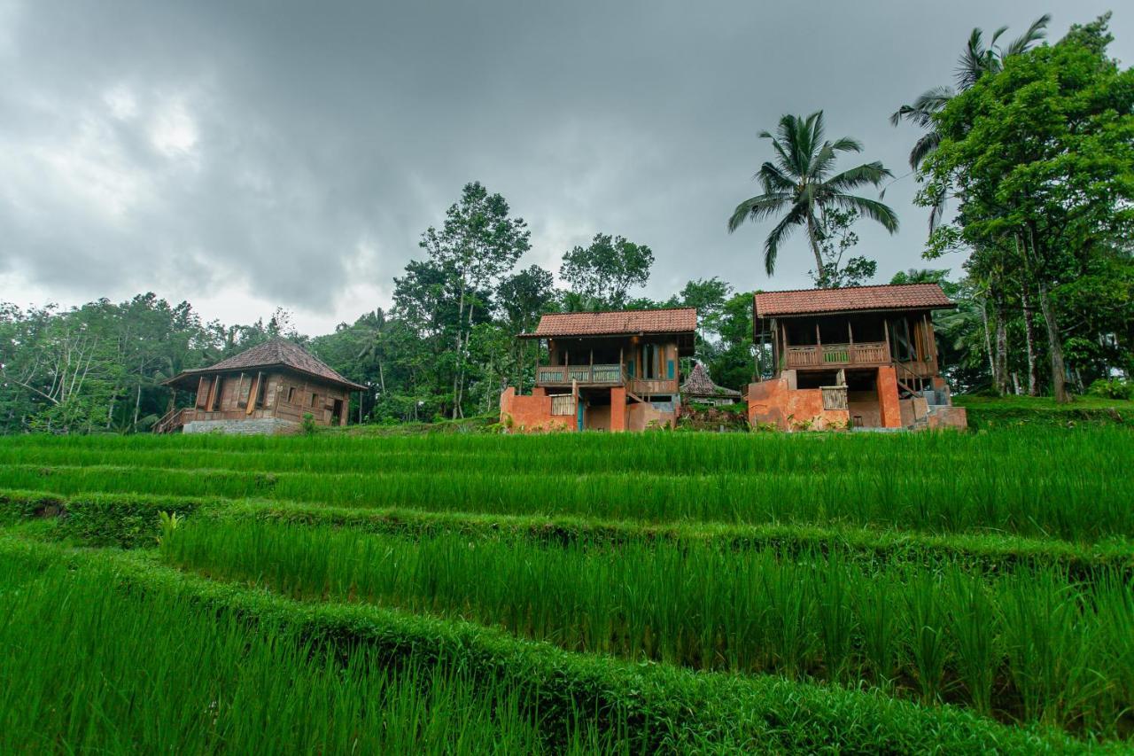 Tepi Sawah Lodge&retreat Jatiluwih