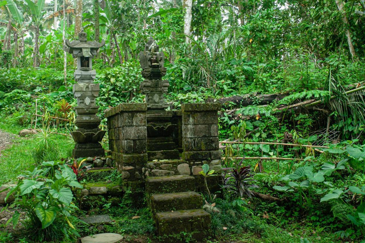 Tepi Sawah Lodge&retreat Jatiluwih