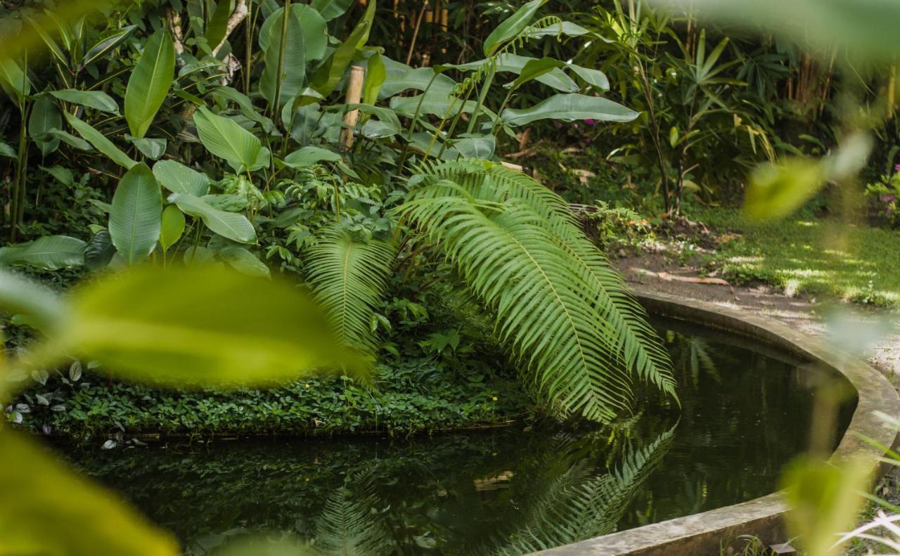 The Winaposa Munduk (Bali)