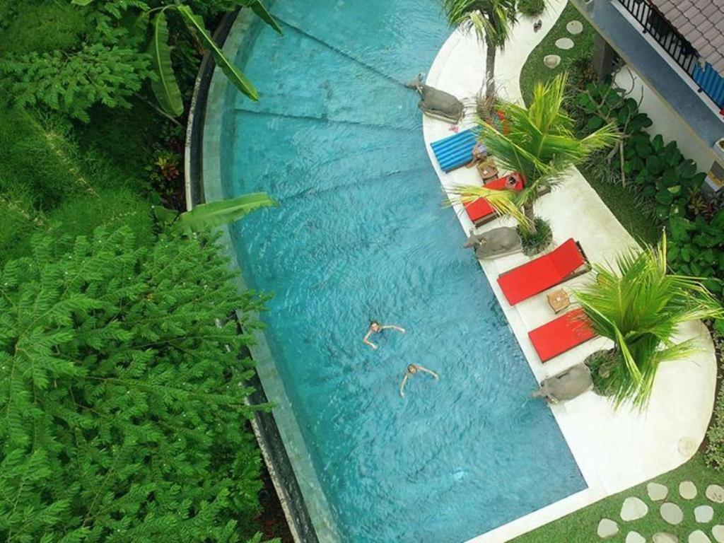 Guest house Jungle Haven Ubud (Bali)