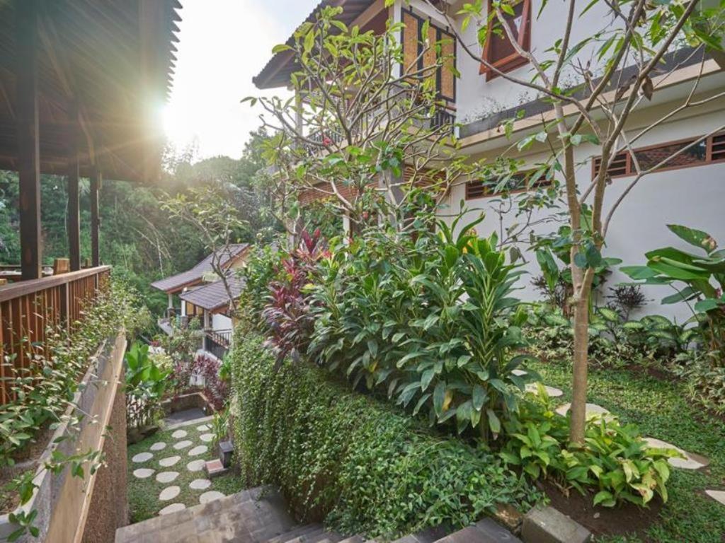Jungle Haven Guest house 3*