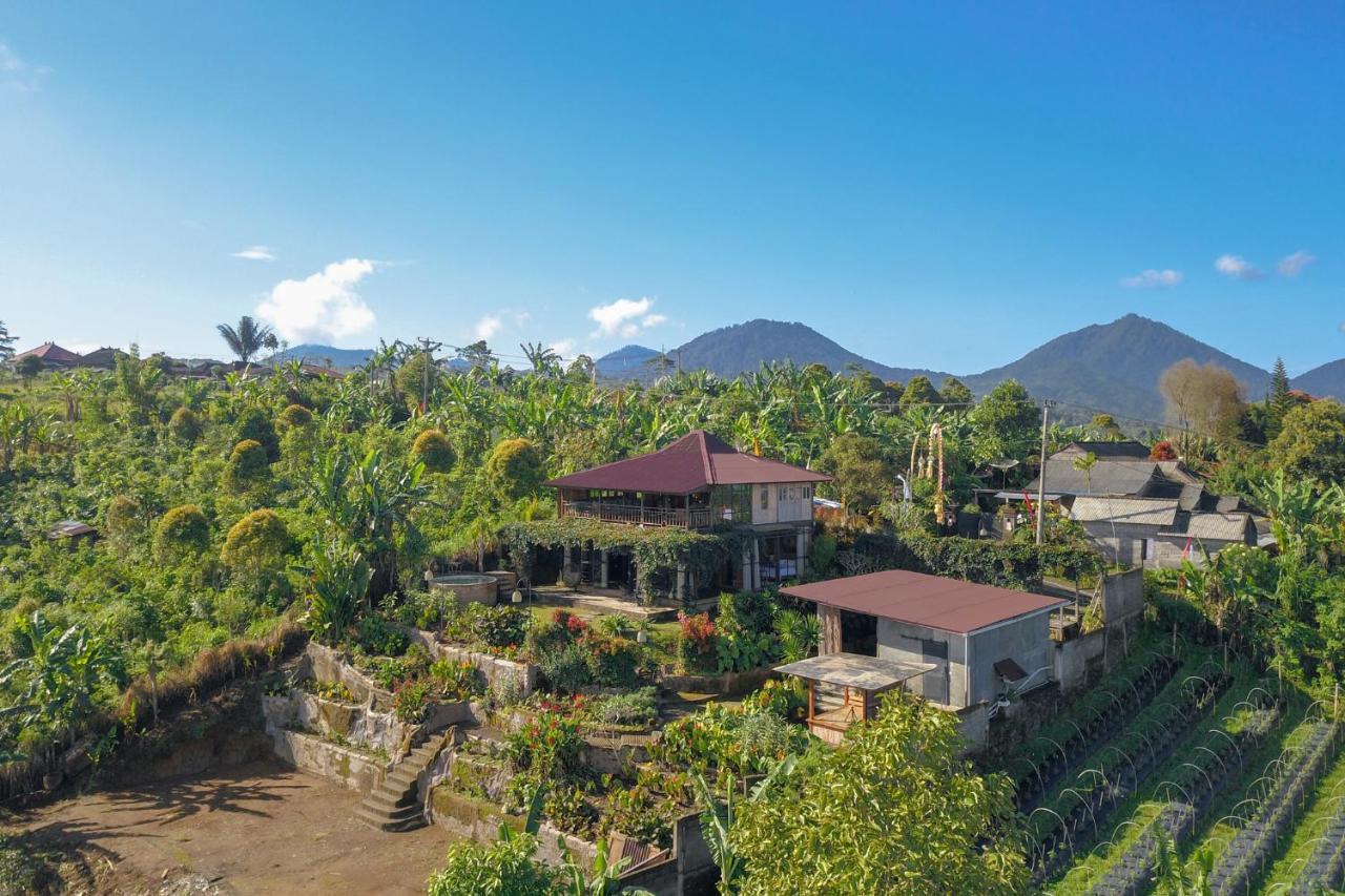 Kayukopi Munduk (Bali)